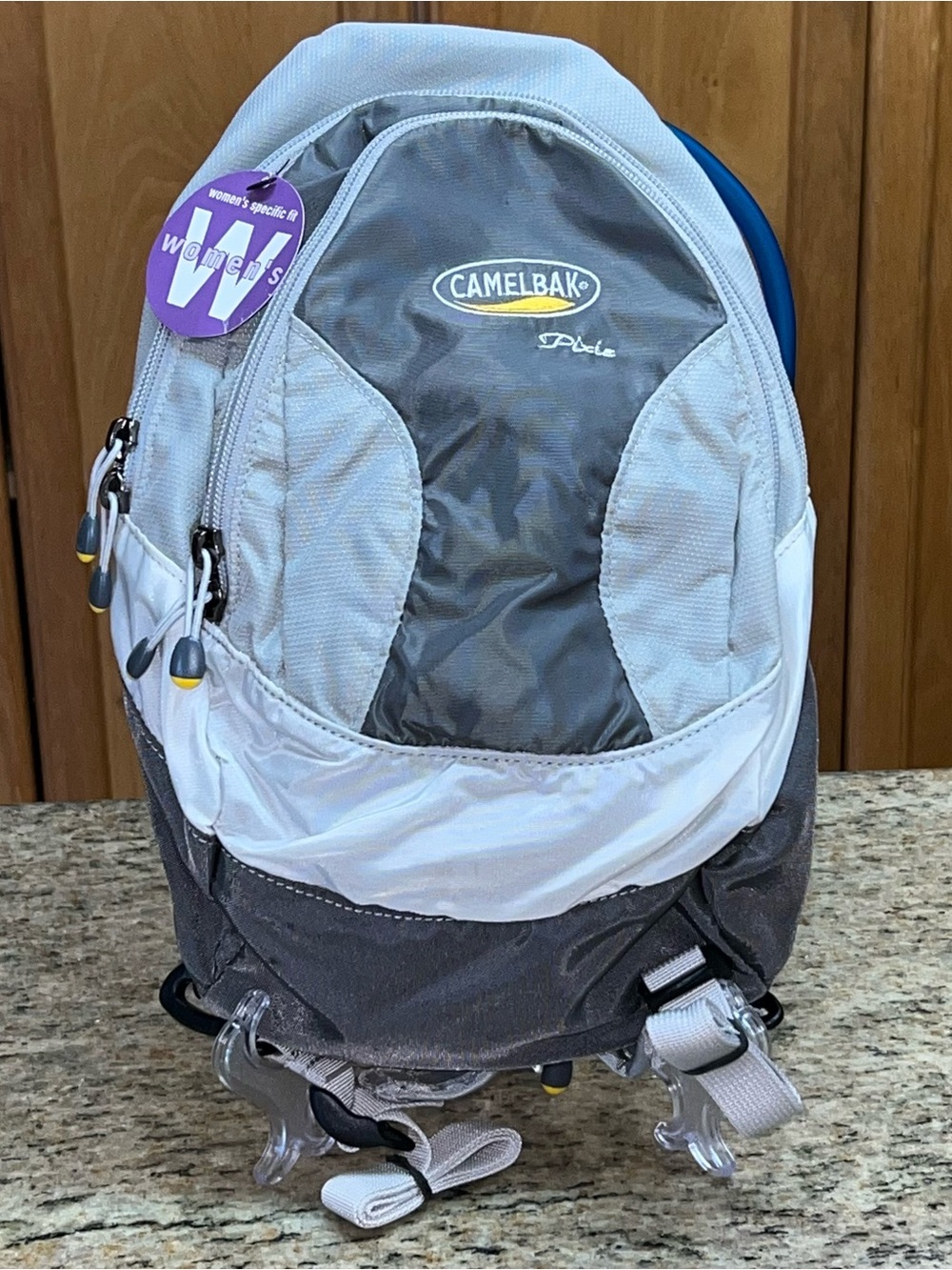 NEW CamelBak Women's Hydration Backpack in Light and Dark Gray